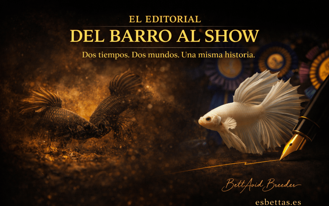 El Editorial | edición 2