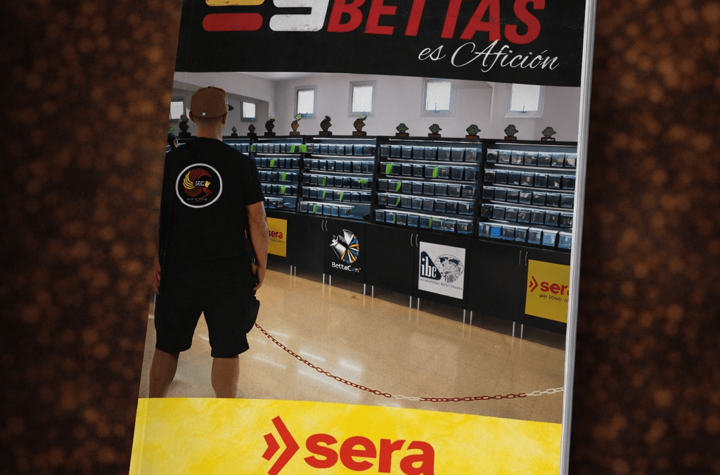 Edición 4 | Revista esbettas.es