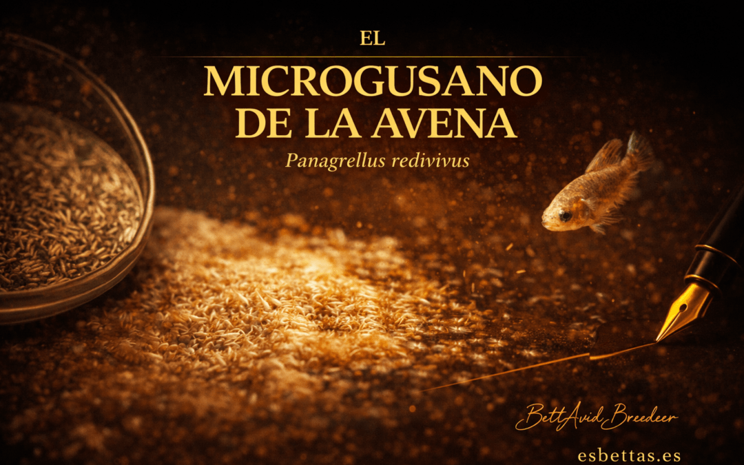 El microgusano de la avena