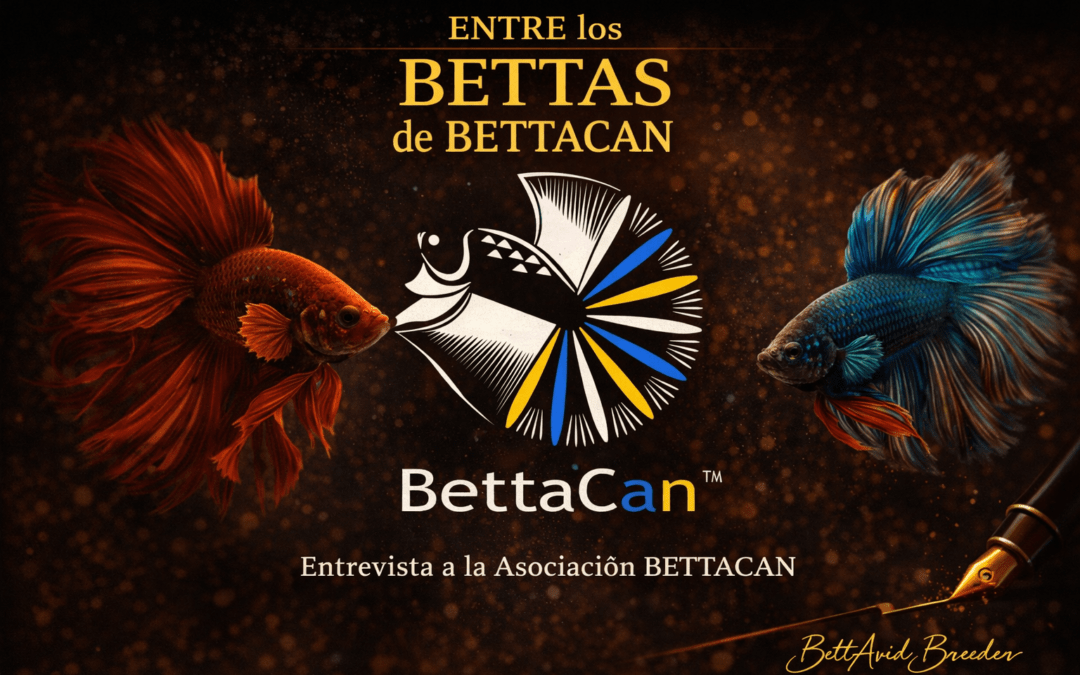 Entre los Bettas de Bettacan