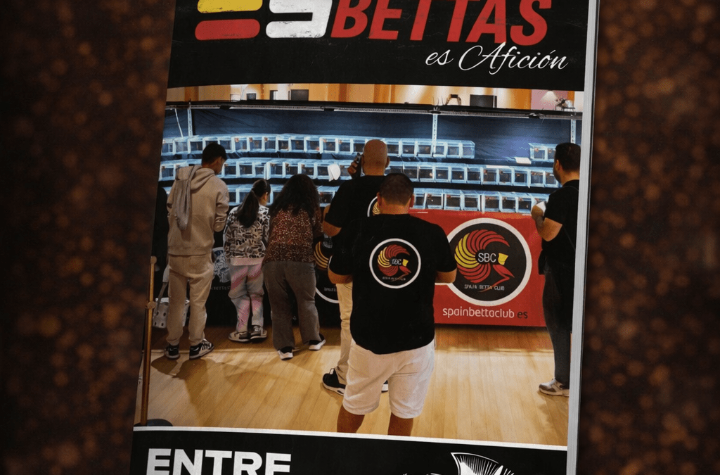 Edición 2 | Revista esbettas.es