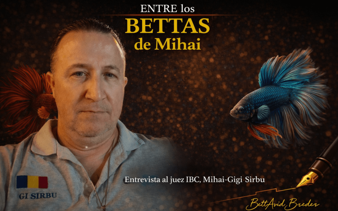 Entre los Bettas de Mihai