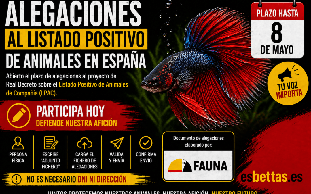Alegaciones al listado positivo de animales.
