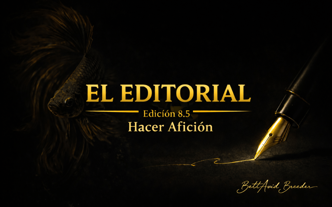 El Editorial | Edición 8.5