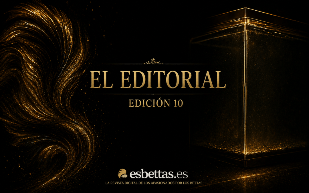 El Editorial | Edición 10
