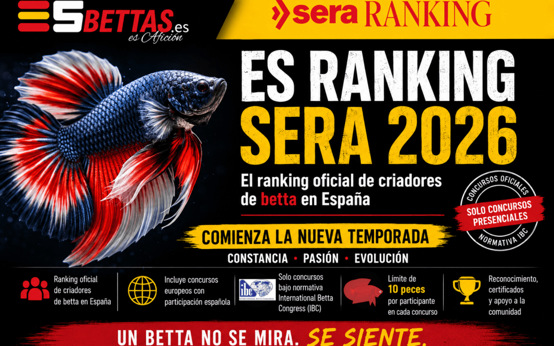Comienza la nueva temporada del ranking.