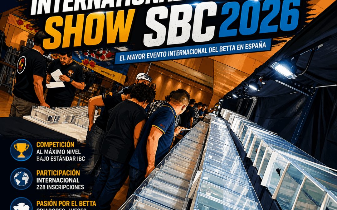 International Show SBC 2026