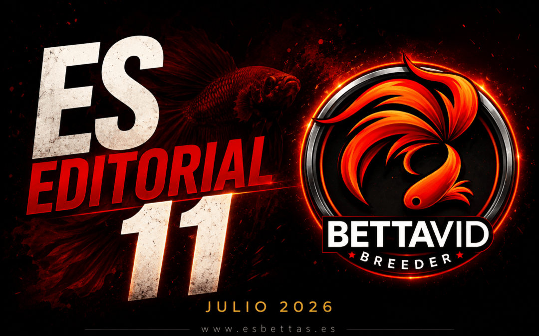 Edición 11 | El Editorial