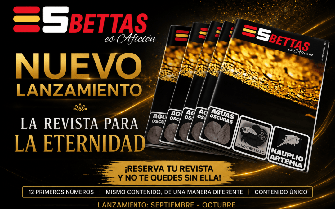 Lanzamiento Revista ES Bettas en papel