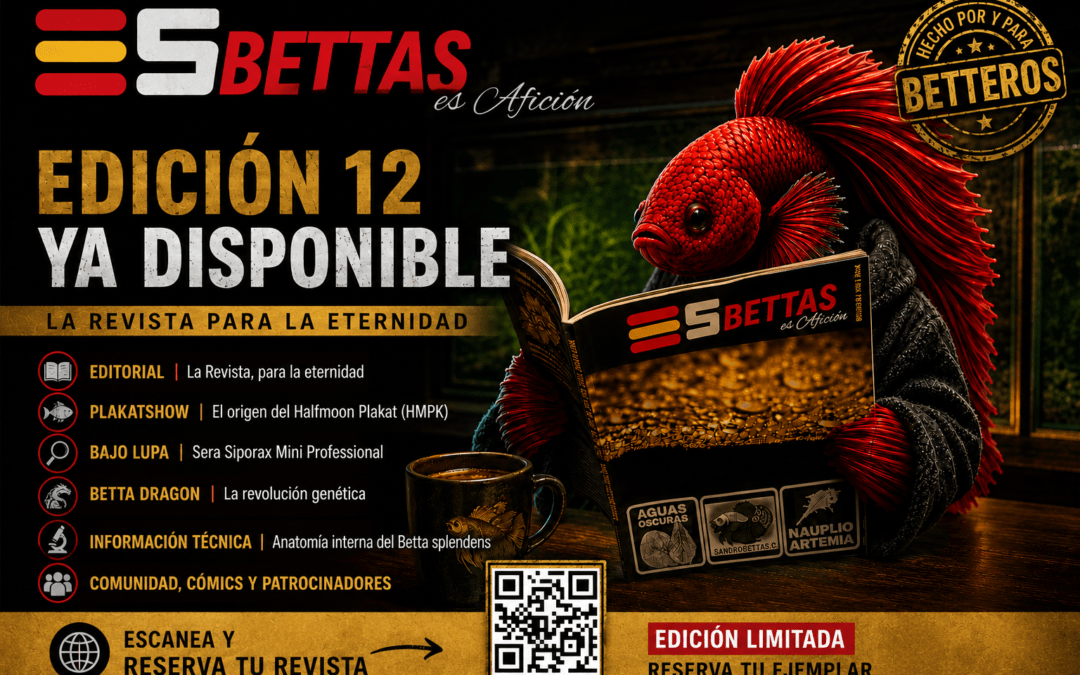 Edición 12 | Revista esbettas.es
