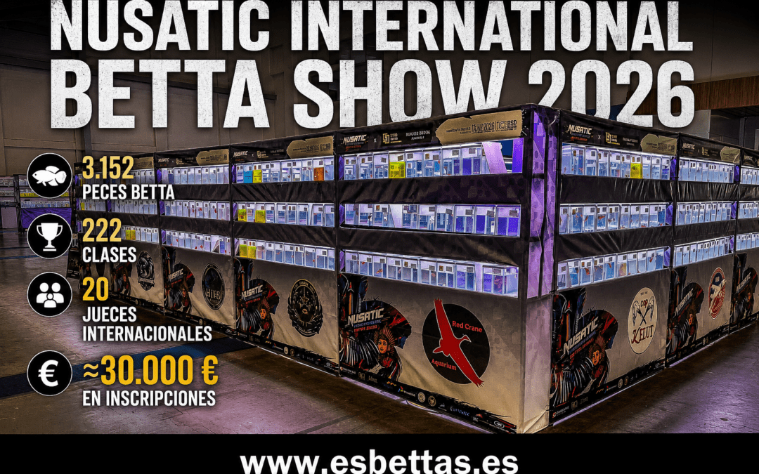 NUSATIC INTERNATIONAL BETTA SHOW 2026