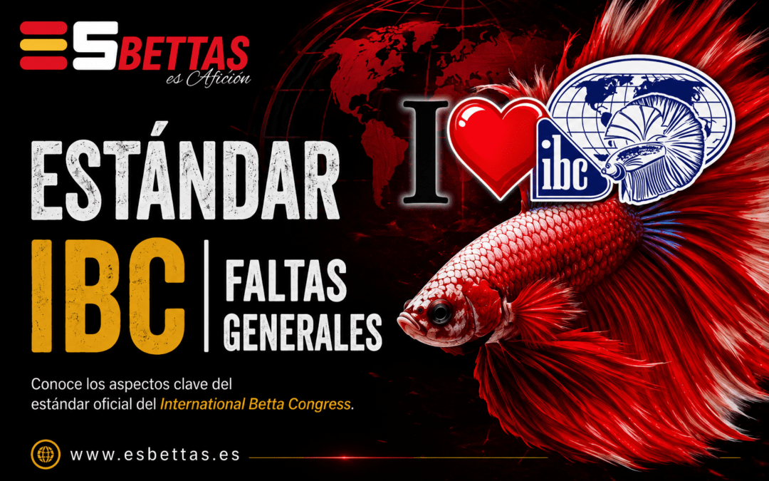 Estándar IBC | Faltas Generales