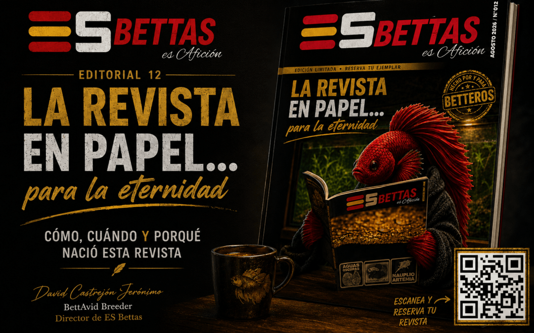 El Editorial | Edición 12
