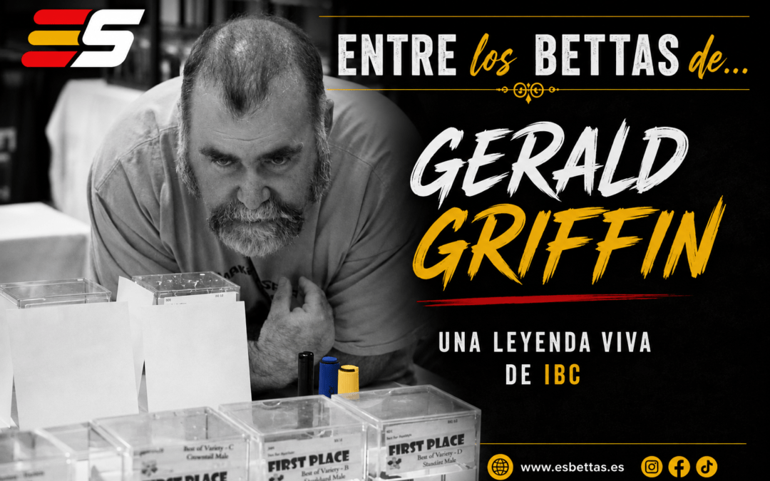ENTRE los BETTAS de… Gerald Griffin | Una leyenda viva del IBC