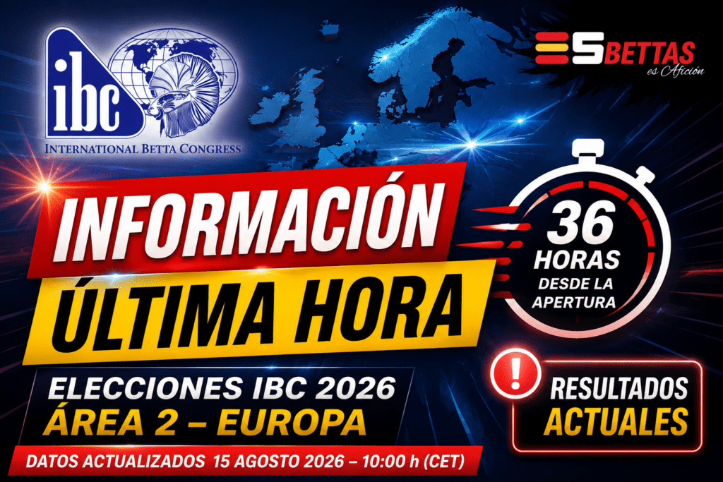 Resultados de las elecciones IBC 2026 en Europa