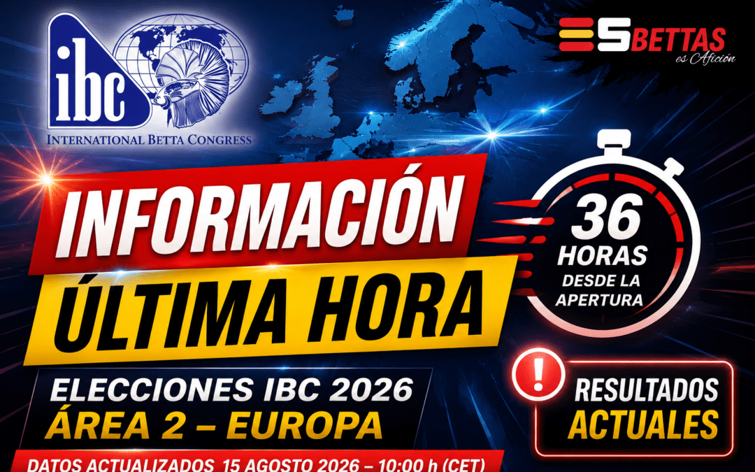 Elecciones IBC 2026: resultados actuales del Área 2 (Europa)